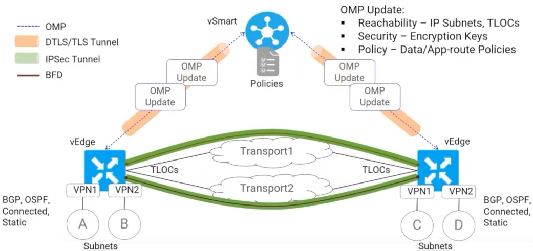 Omp Routes SD-Access và SD-WAN | Sharetai